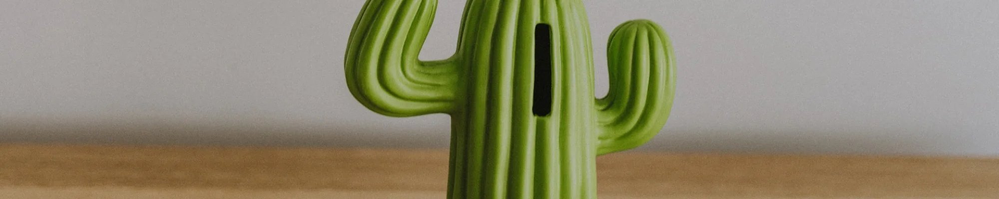 Financing options from INSERT_NAME in INSERT_LOCATION.